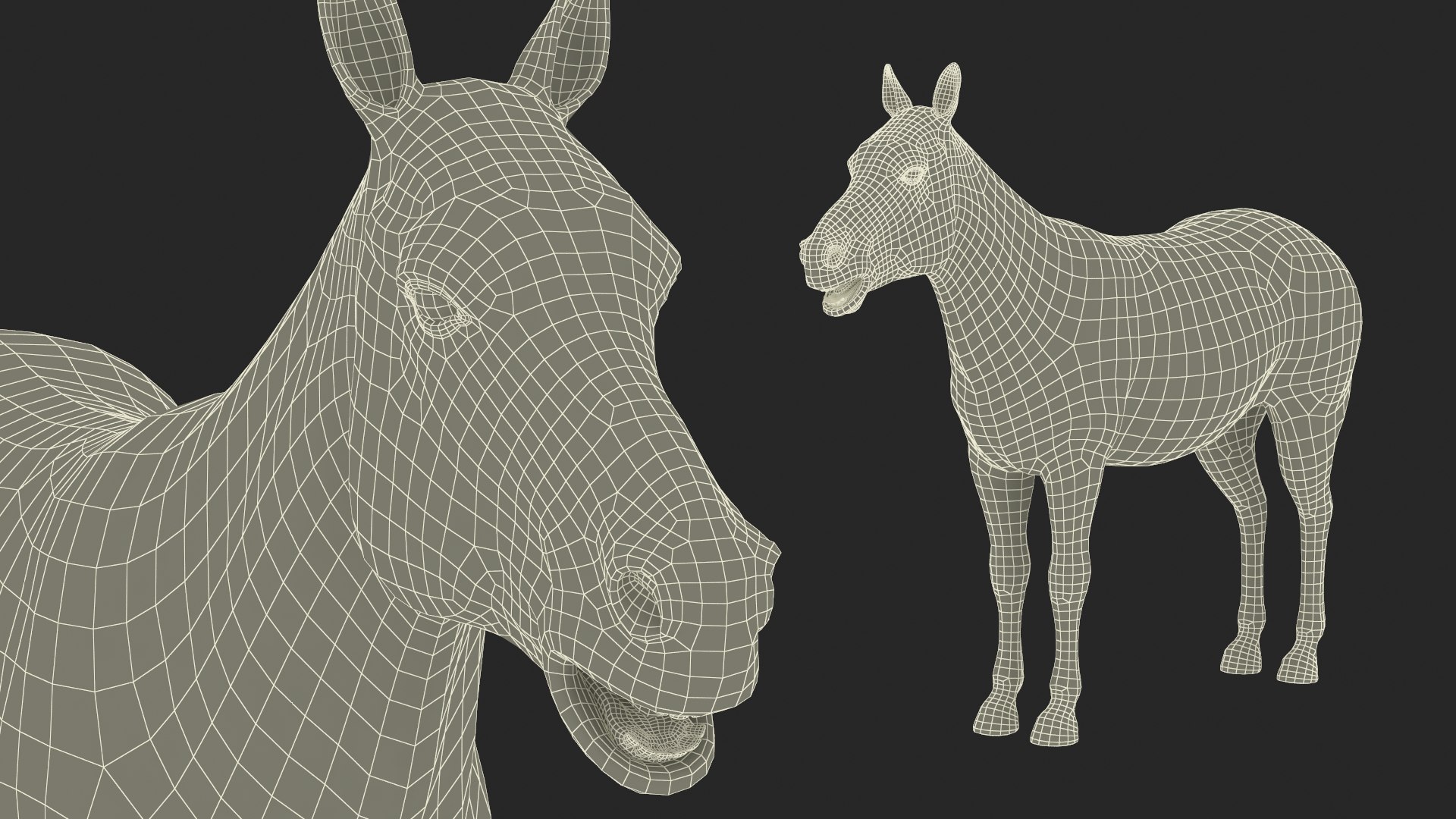 3D African Zebra Fur for Cinema 4D https://p.turbosquid.com/ts-thumb/L4/1Fcv95/yU/african_zebra_fur_019/jpg/1742871871/1920x1080/fit_q87/394ba2cbe015d96ebc2b3a3d5224299648fad06c/african_zebra_fur_019.jpg