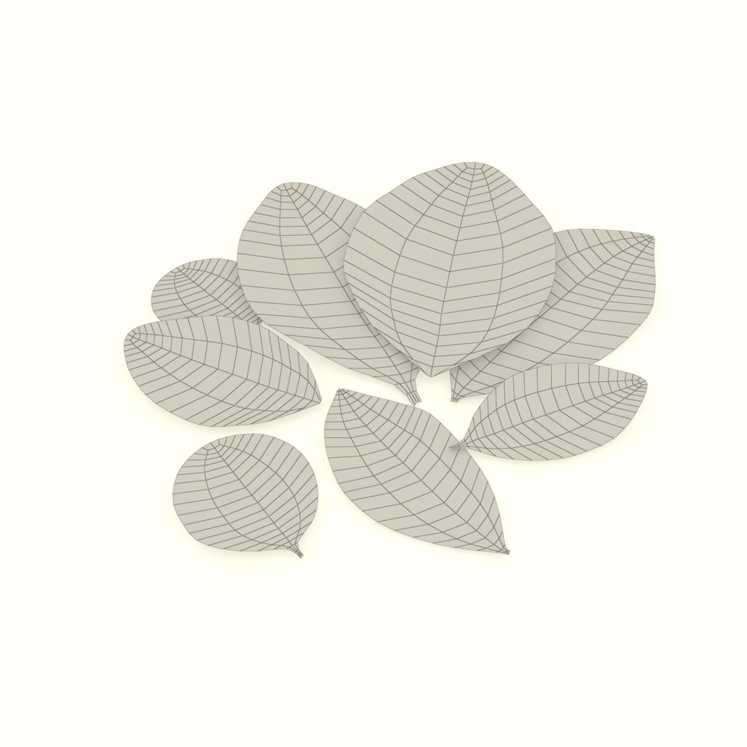 bay leaf 3D https://p.turbosquid.com/ts-thumb/L4/AwX3DQ/p1ljwAOa/6/jpg/1587662214/1920x1080/fit_q87/27407276472987ae3eefb7e6d0d006c449b4b76a/6.jpg