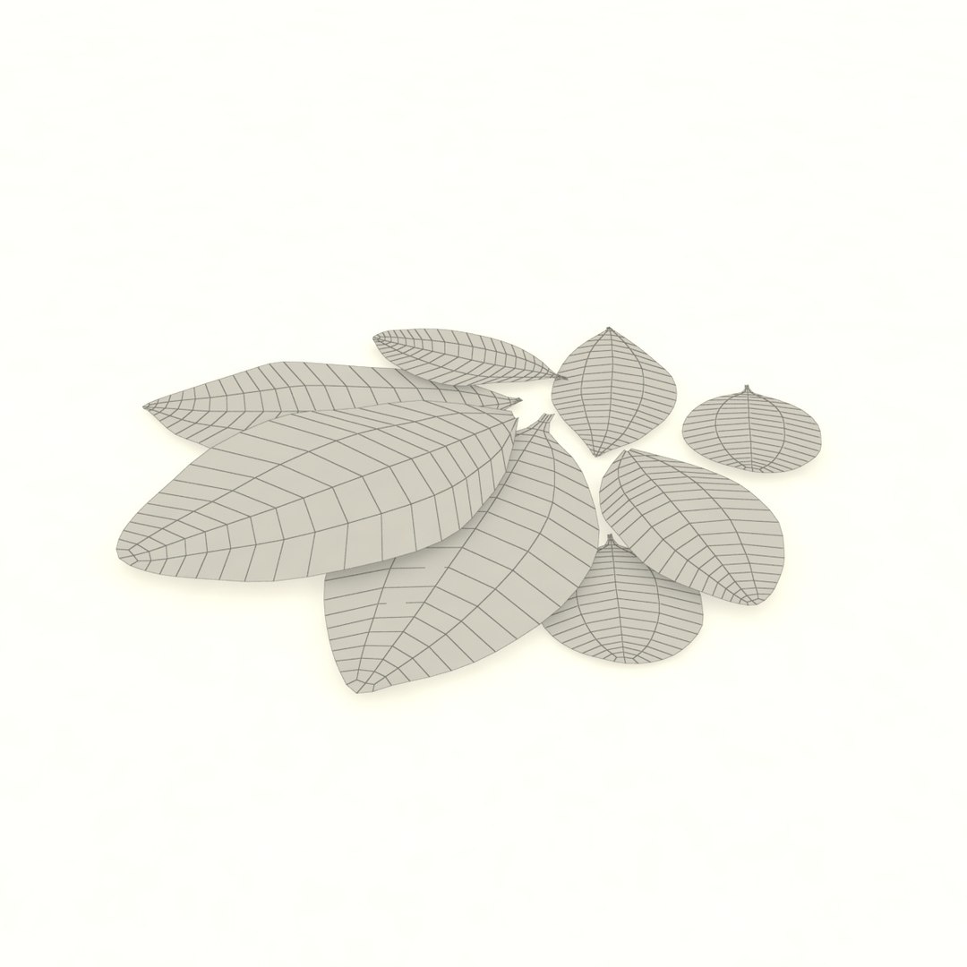 bay leaf 3D https://p.turbosquid.com/ts-thumb/L4/AwX3DQ/v181eD0b/8/jpg/1587662920/1920x1080/fit_q87/24c363d75b6ad98a8d4d0b043bbea1c8f1e55f23/8.jpg