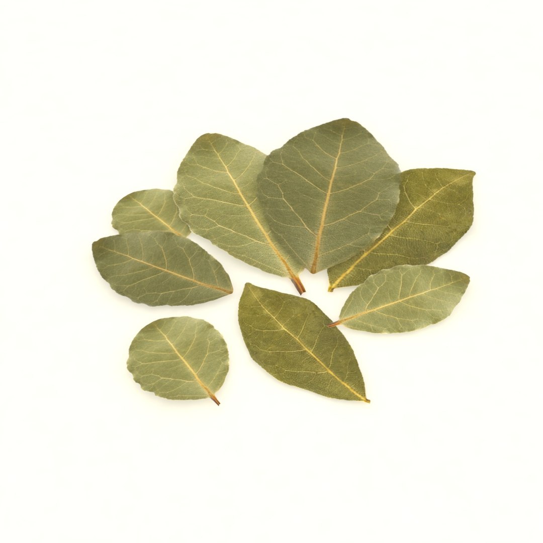 bay leaf 3D https://p.turbosquid.com/ts-thumb/L4/AwX3DQ/z0utJ2RJ/3/jpg/1587661765/1920x1080/fit_q87/27195937c832dc8f9fa4f28044ca658588d66bf8/3.jpg