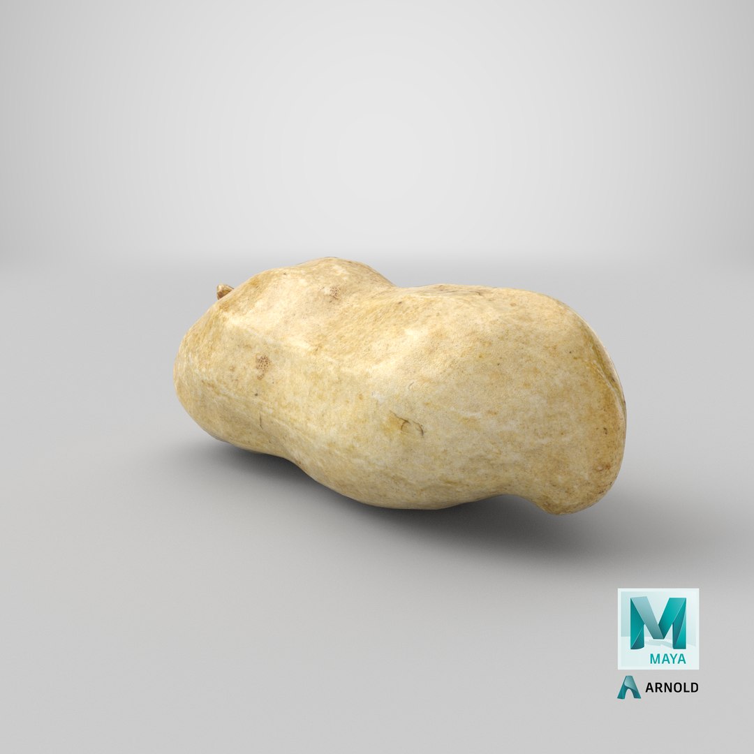 peanut shell 01 3D model https://p.turbosquid.com/ts-thumb/L4/IaCplT/DVw44Tz2/stemcell_maya_arnold_render/png/1584100384/1920x1080/fit_q87/e127f60a136d2e832c96dd543527d47892e4dd1f/stemcell_maya_arnold_render.jpg