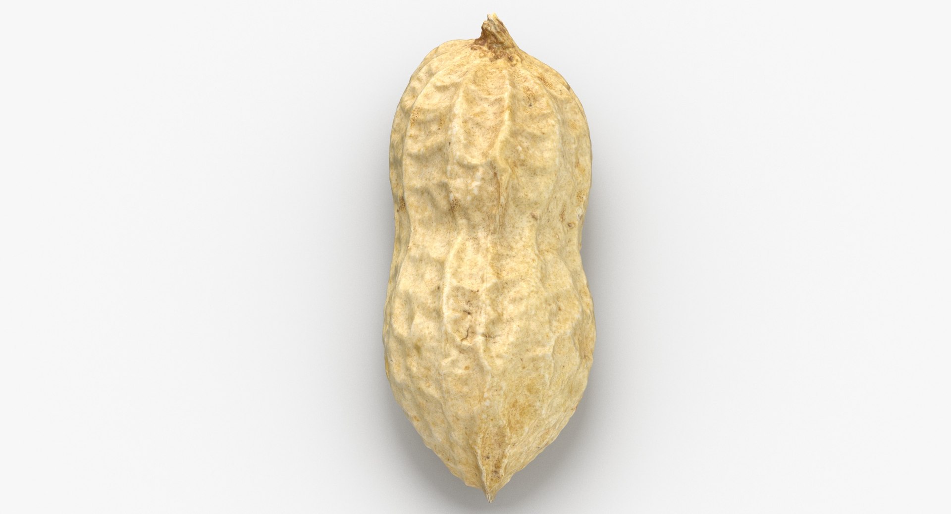 peanut shell 01 3D model https://p.turbosquid.com/ts-thumb/L4/IaCplT/ifViYMQ0/peanut_with_shell_01_thumbnail_0003/jpg/1582635097/1920x1080/fit_q87/d69d032b2039e5ee684e100d44cbe6a31fcda3bf/peanut_with_shell_01_thumbnail_0003.jpg