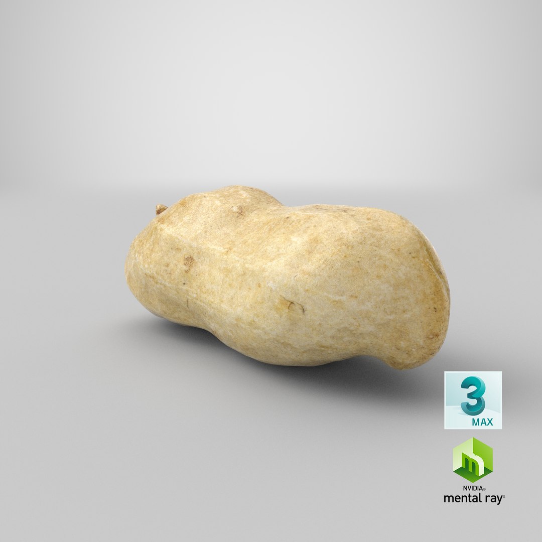 peanut shell 01 3D model https://p.turbosquid.com/ts-thumb/L4/IaCplT/ngJYXZRQ/stemcell_max_mental_ray_render/png/1584100378/1920x1080/fit_q87/386d4730da12ab1b3e00a1ce2e715fc9204a52a6/stemcell_max_mental_ray_render.jpg