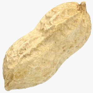 Peanut With Shell 01