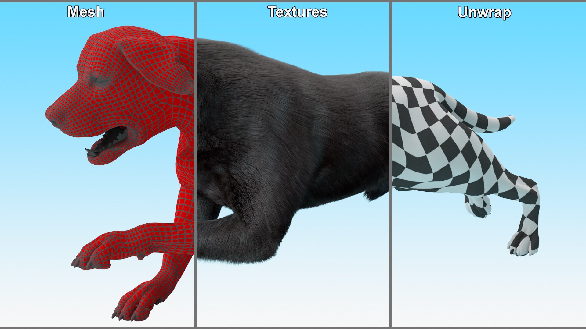 Black Labrador Dog Running Fur Animated Rigged 3D model https://p.turbosquid.com/ts-thumb/L4/NZ1myM/NB/black_labrador_dog_running_fur_animated_rigged_015/jpg/1753055732/1920x1080/fit_q87/80cf3669f87f00c2f07ef485eb888310a233251f/black_labrador_dog_running_fur_animated_rigged_015.jpg
