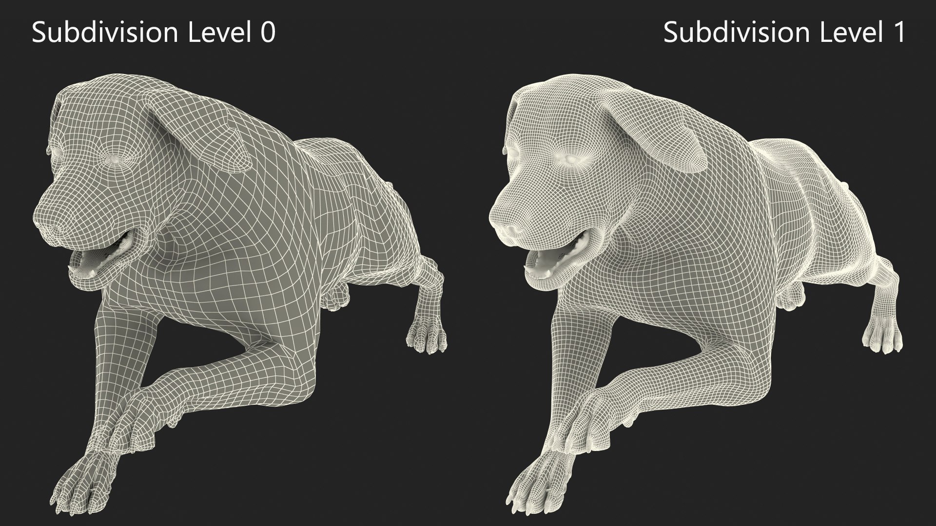 Black Labrador Dog Running Fur Animated Rigged 3D model https://p.turbosquid.com/ts-thumb/L4/NZ1myM/Nj/black_labrador_dog_running_fur_animated_rigged_017/jpg/1753055742/1920x1080/fit_q87/f37d9315e5a354be8d2caeddb8e671043cc899d1/black_labrador_dog_running_fur_animated_rigged_017.jpg