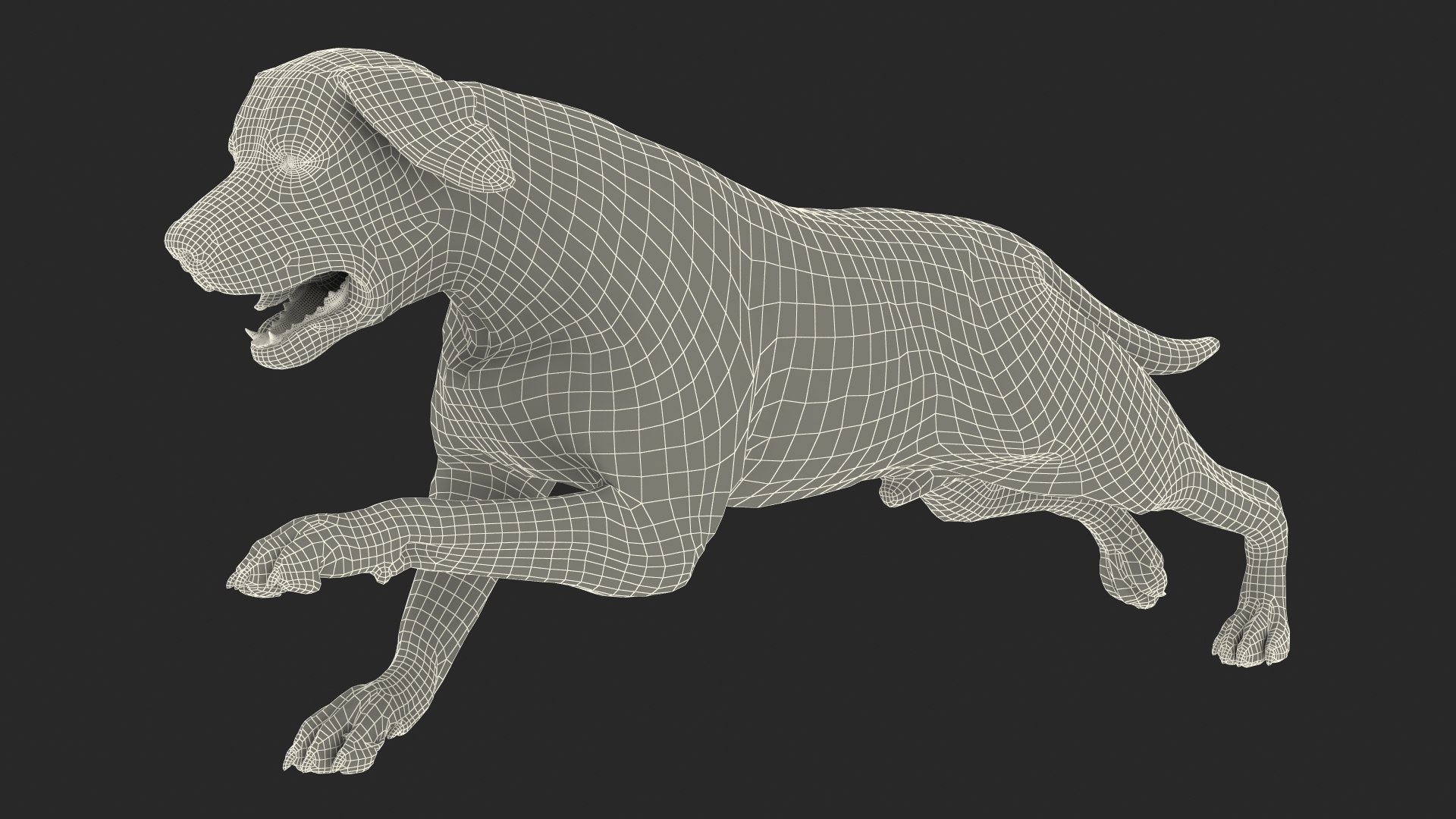 Black Labrador Dog Running Fur Animated Rigged 3D model https://p.turbosquid.com/ts-thumb/L4/NZ1myM/RX/black_labrador_dog_running_fur_animated_rigged_021/jpg/1753055762/1920x1080/fit_q87/9511d186bb5b8ea359f568cb4ec71bd432d27a3c/black_labrador_dog_running_fur_animated_rigged_021.jpg