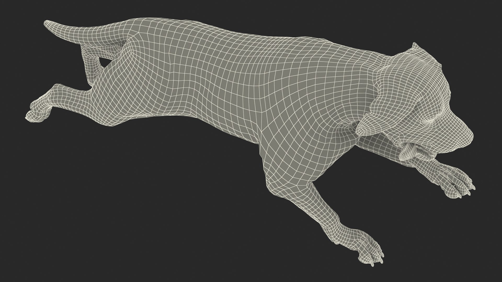 Black Labrador Dog Running Fur Animated Rigged 3D model https://p.turbosquid.com/ts-thumb/L4/NZ1myM/t0/black_labrador_dog_running_fur_animated_rigged_023/jpg/1753055772/1920x1080/fit_q87/3962d784fd1e81fdc6439dd921d87b68d78e4f3b/black_labrador_dog_running_fur_animated_rigged_023.jpg
