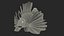 Lionfish Marine Creature