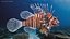 Lionfish Marine Creature