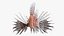 Lionfish Marine Creature
