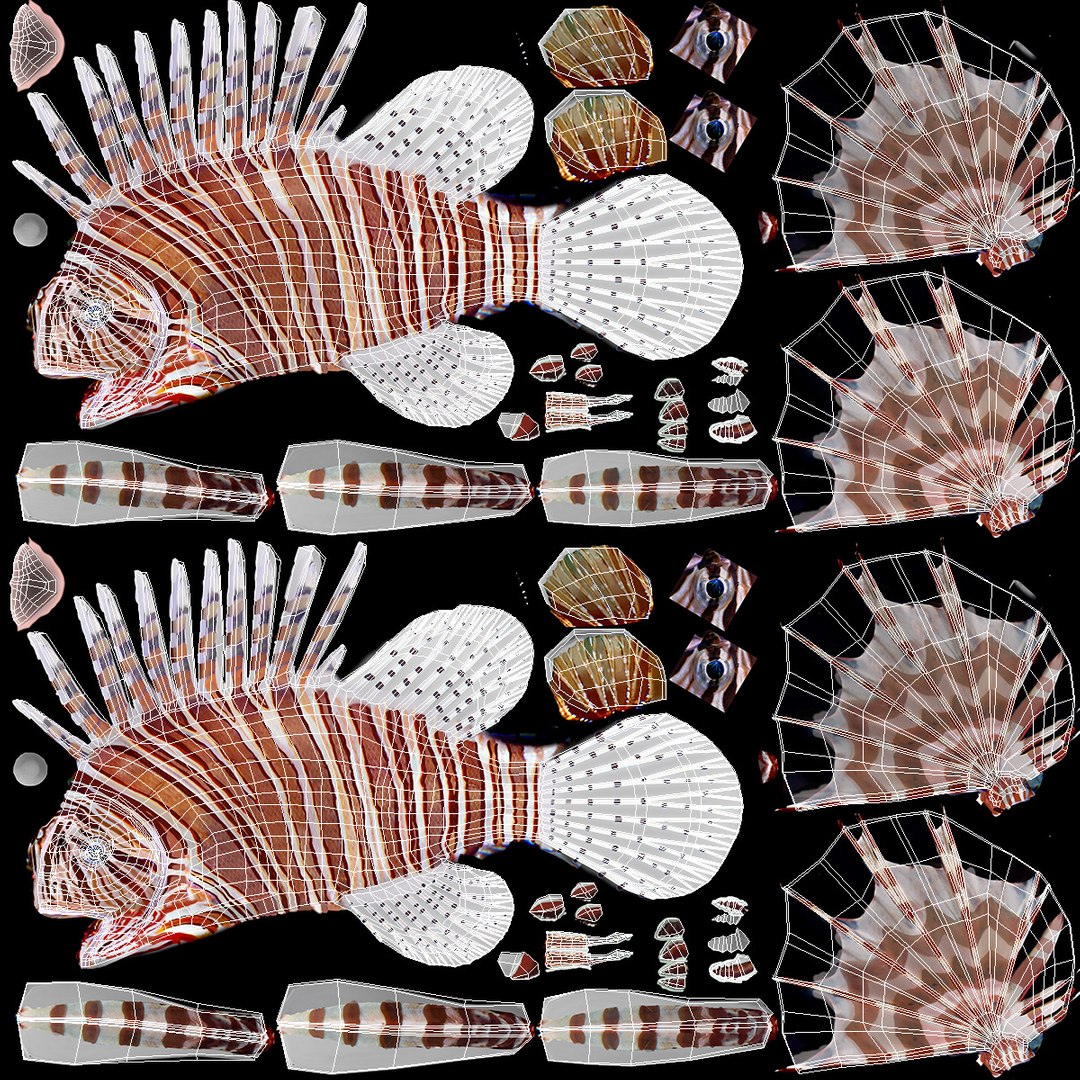 Lionfish Marine Creature 3D model https://p.turbosquid.com/ts-thumb/L4/QFzx61/Ea/lionfish_marine_creature_016/jpg/1743531202/1920x1080/fit_q87/e2e6bdd0f039aa4fa5b99179f2e410adda52cb41/lionfish_marine_creature_016.jpg