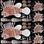 Lionfish Marine Creature