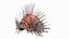Lionfish Marine Creature