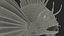 Lionfish Marine Creature