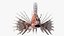 Lionfish Marine Creature