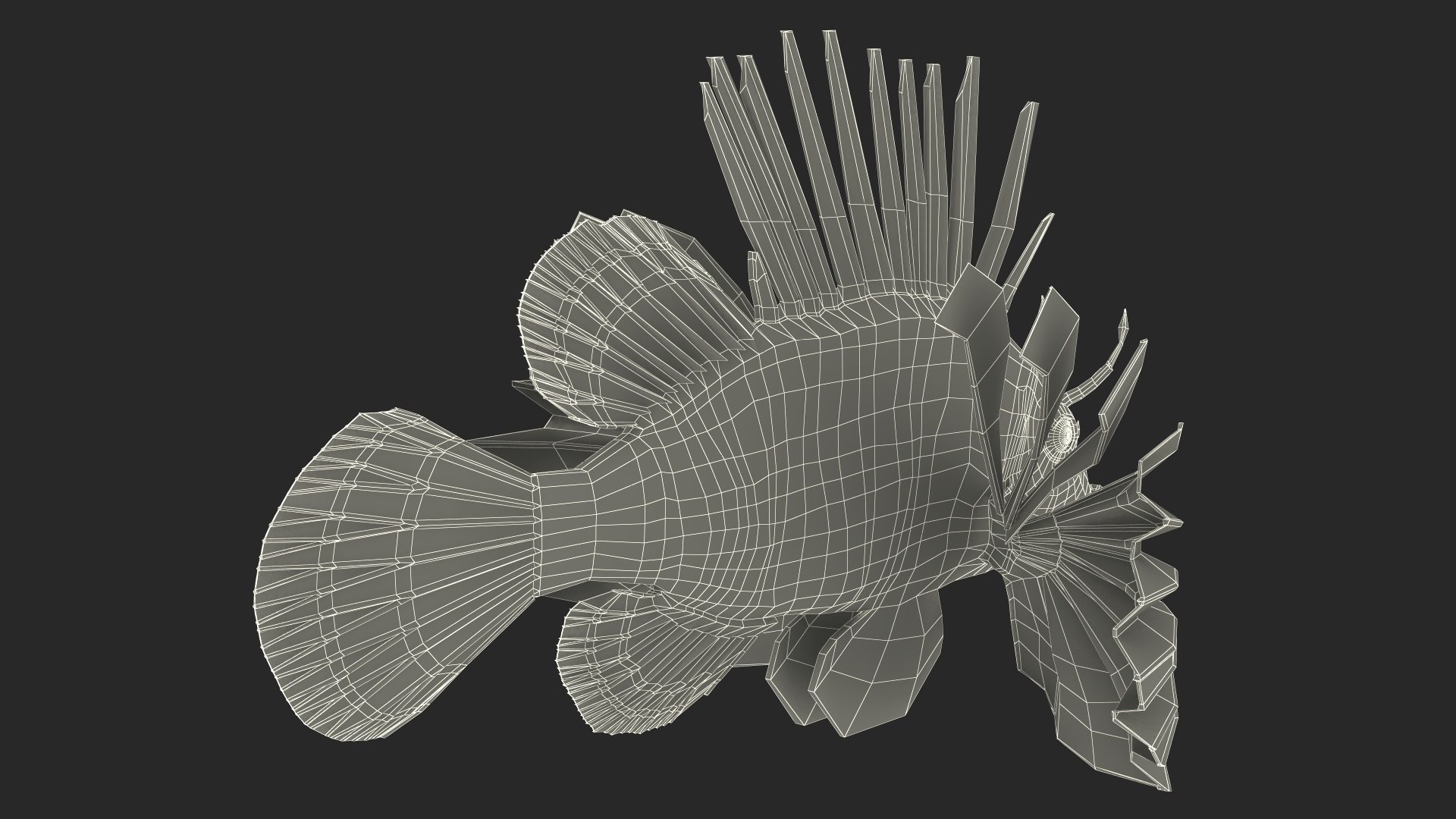 Lionfish Marine Creature 3D model https://p.turbosquid.com/ts-thumb/L4/QFzx61/TJ/lionfish_marine_creature_020/jpg/1743531217/1920x1080/fit_q87/d5b0a7a8212c3ef5d492ca7ef172331d8f2030a5/lionfish_marine_creature_020.jpg