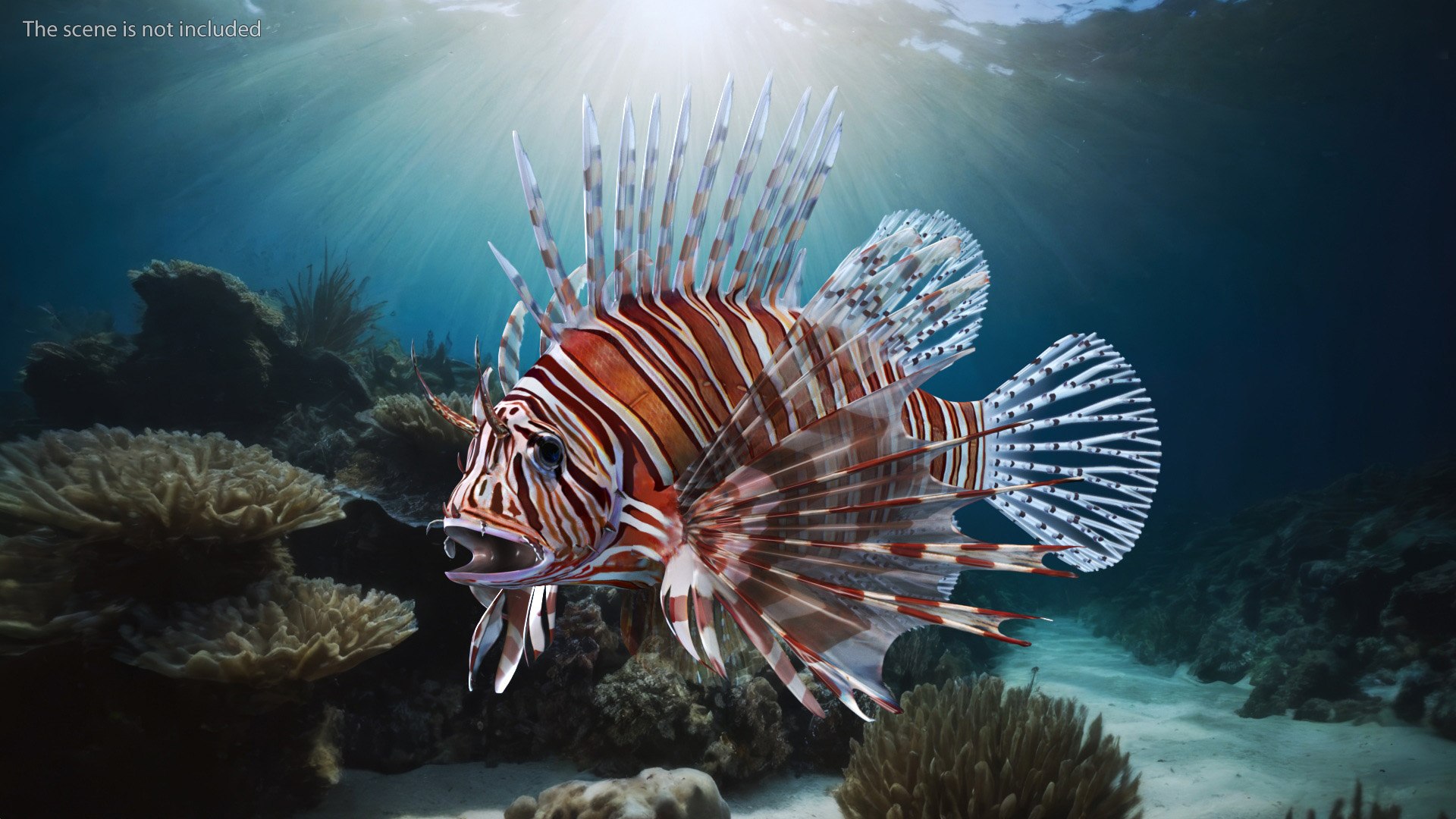 Lionfish Marine Creature 3D model https://p.turbosquid.com/ts-thumb/L4/QFzx61/Zz/lionfish_marine_creature_004/jpg/1743531151/1920x1080/fit_q87/c73b719c66649f429f1da5fee4bac722ae2a1363/lionfish_marine_creature_004.jpg