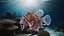Lionfish Marine Creature