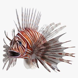 Lionfish Marine Creature