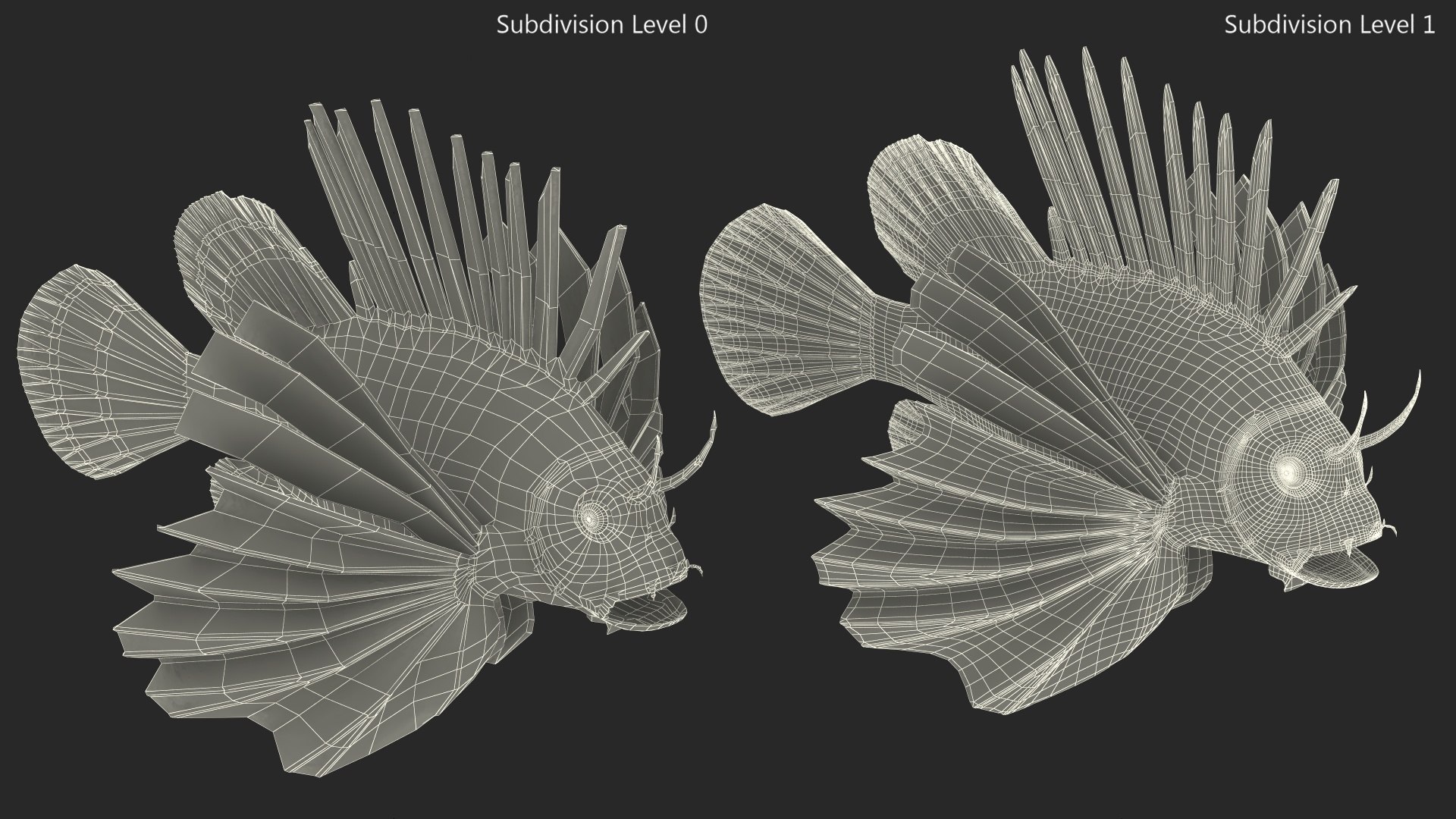 Lionfish Marine Creature 3D model https://p.turbosquid.com/ts-thumb/L4/QFzx61/ki/lionfish_marine_creature_015/jpg/1743531197/1920x1080/fit_q87/a3dfd606a38a8492ea41cb93225d2420409c4925/lionfish_marine_creature_015.jpg