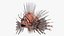 Lionfish Marine Creature