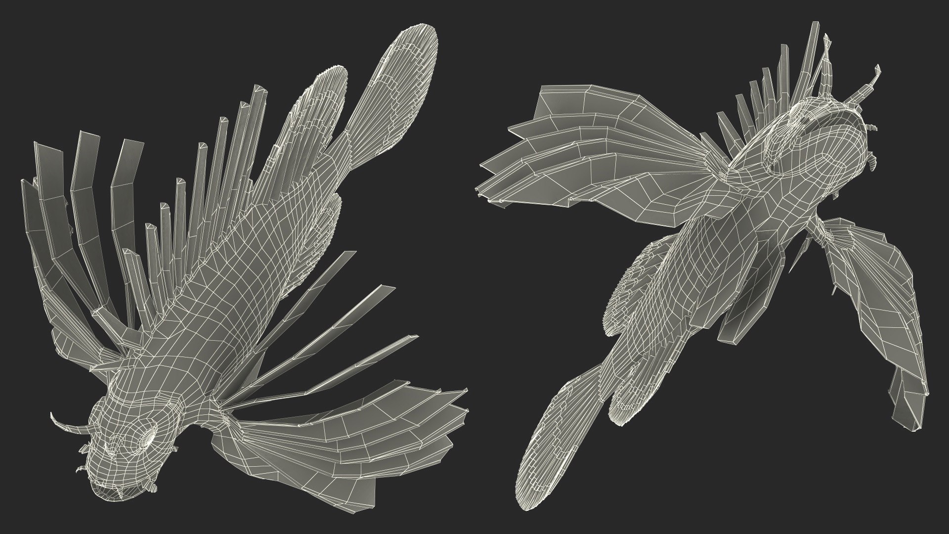 Lionfish Marine Creature 3D model https://p.turbosquid.com/ts-thumb/L4/QFzx61/nF/lionfish_marine_creature_021/jpg/1743531221/1920x1080/fit_q87/c7f98dd13aed51168b6abe5511e7976b18533733/lionfish_marine_creature_021.jpg