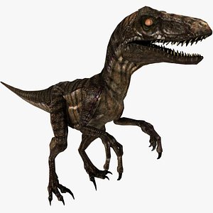 3d model of rigged velociraptor animation raptor