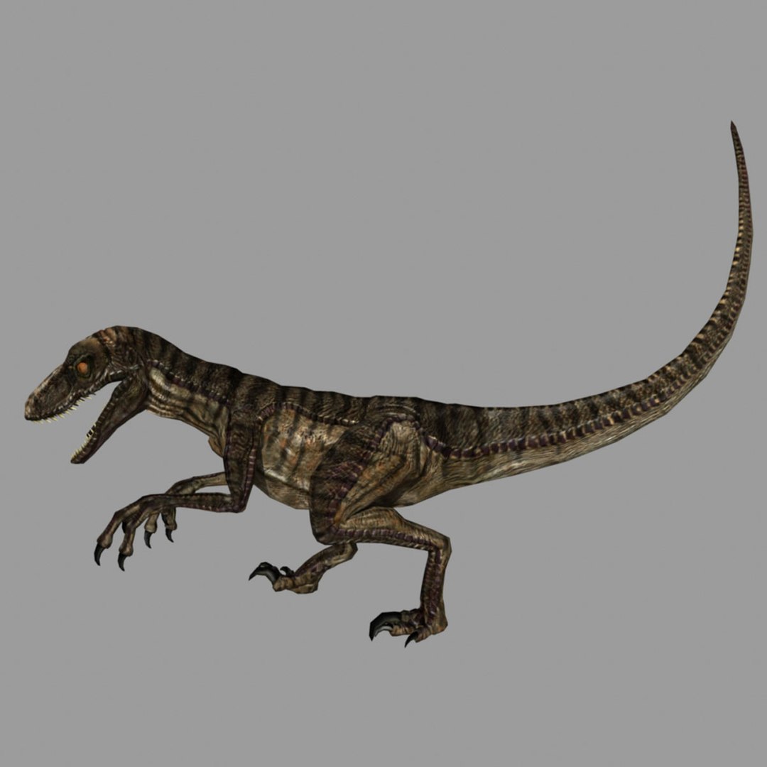 3d Model Of Rigged Velociraptor Animation Raptor