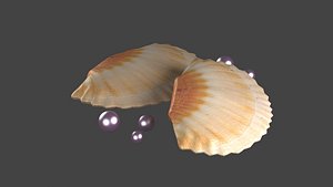 3D pearl in shell ocean oyster clamshell architecture animal sealife sea model