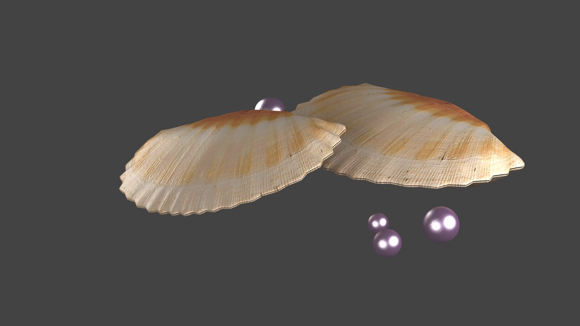 3D pearl in shell ocean oyster clamshell architecture animal sealife ...