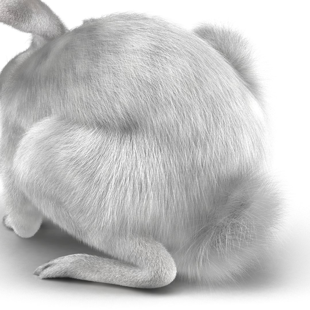 3d Model White Rabbit Pose 4