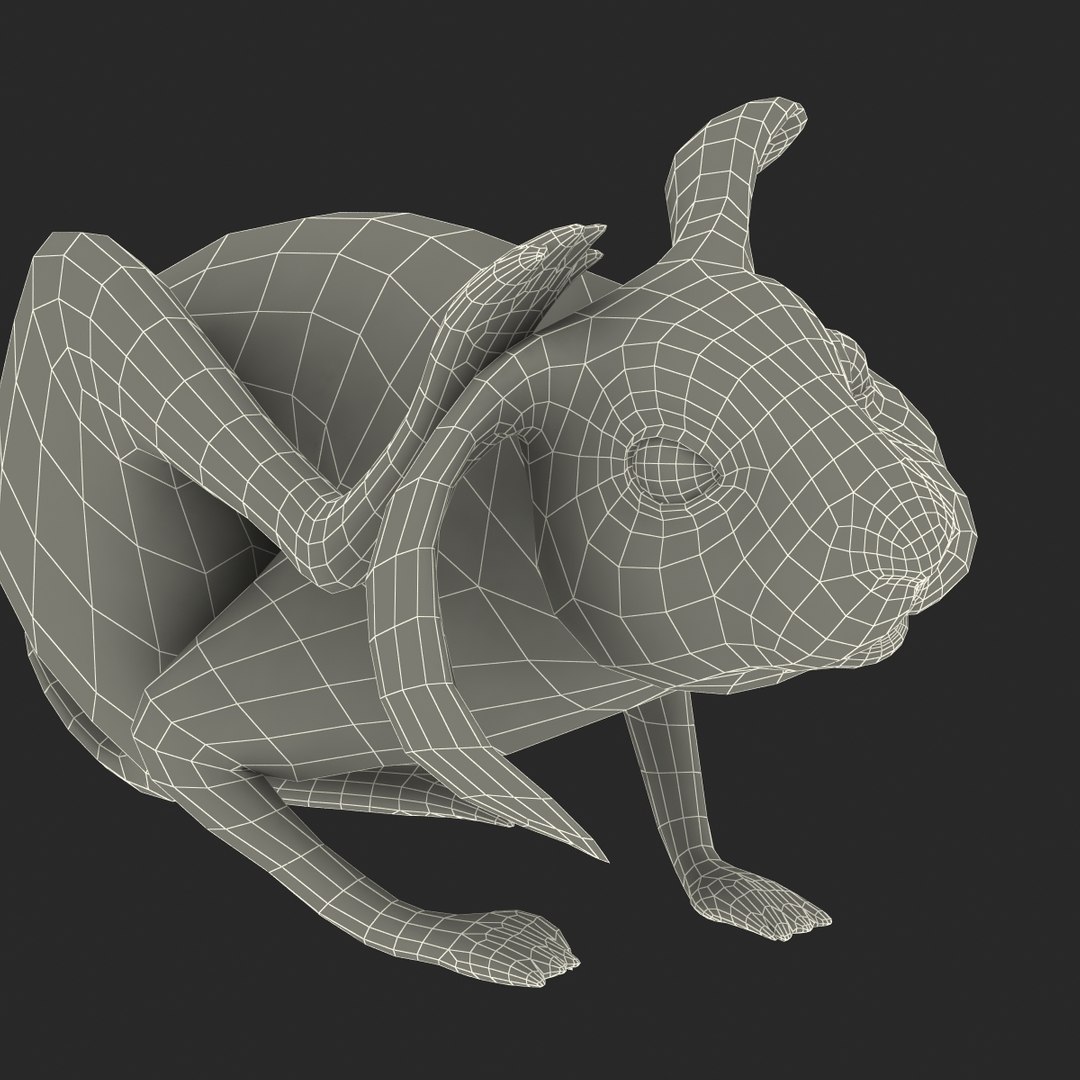 3d Model White Rabbit Pose 4