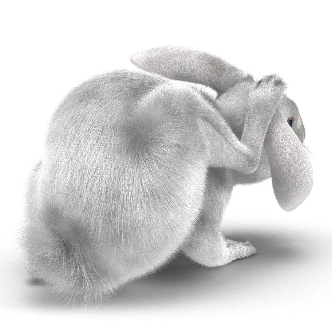 3d Model White Rabbit Pose 4