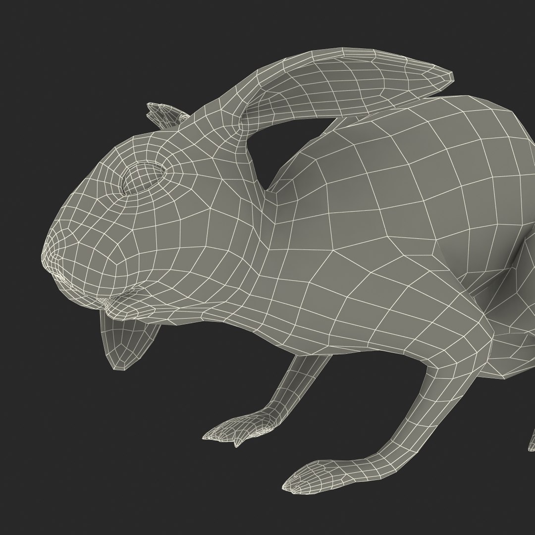 3d Model White Rabbit Pose 4