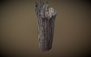 photogrammetry agisoft model