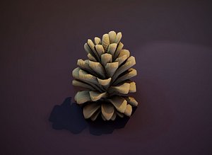 pine cone 3D model