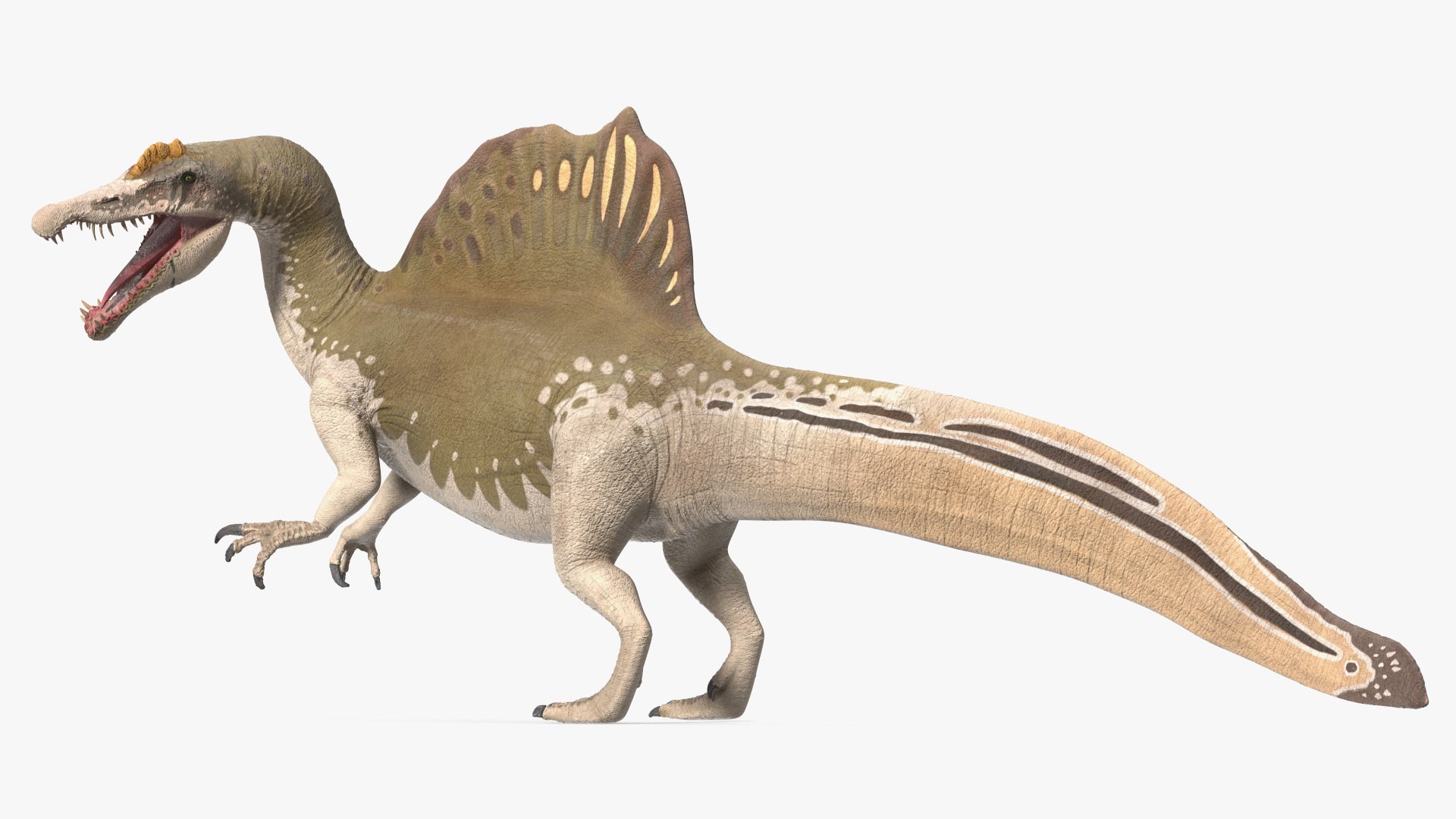 Spinosaurus Dinosaur Yellow Roaring Pose 3D model preview