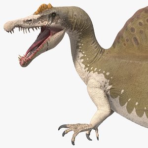 3D Spinosaurus Dinosaur Yellow Roaring Pose model