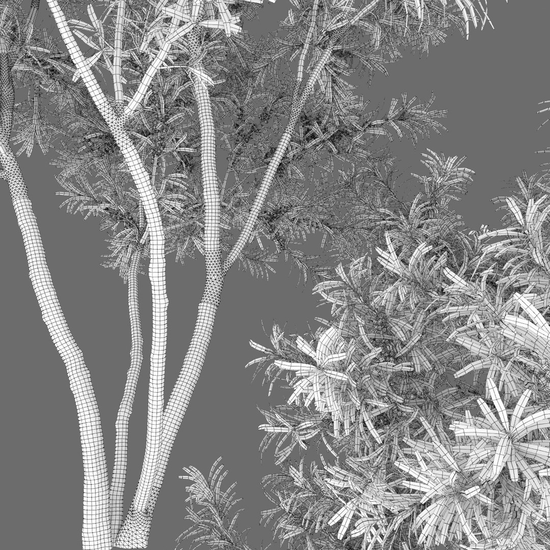 3D buckthorn trees hippophae 1 https://p.turbosquid.com/ts-thumb/L5/MJu83X/gqKIqHF5/7/jpg/1588833745/1920x1080/fit_q87/ecfa425aec61b1e955533aa28b5961ceab7c92b0/7.jpg