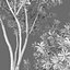 Espinheiro-mar | Hippophae # 1