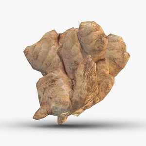 Ginger Low Poly 3D model