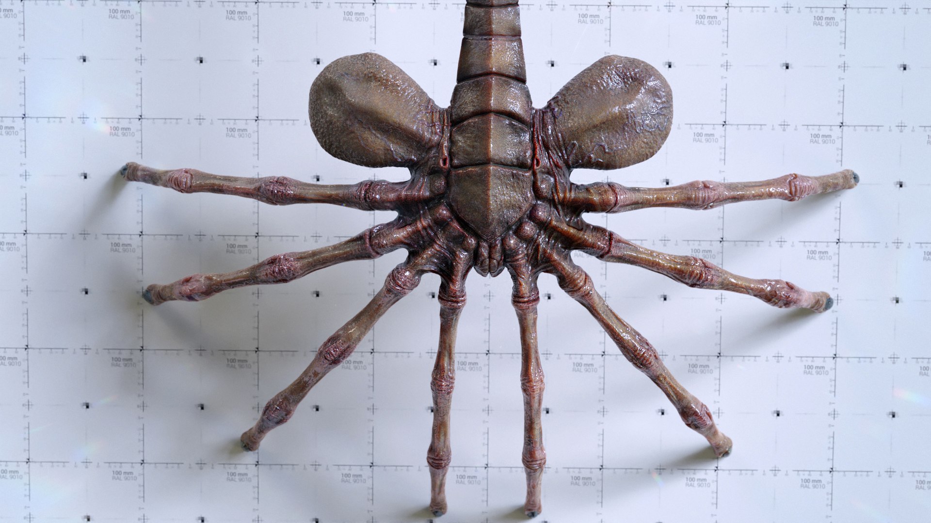 3D Model Alien Facehugger Asset TurboSquid 1479274