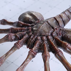 Alien Facehugger - PBR 3D Asset Kit