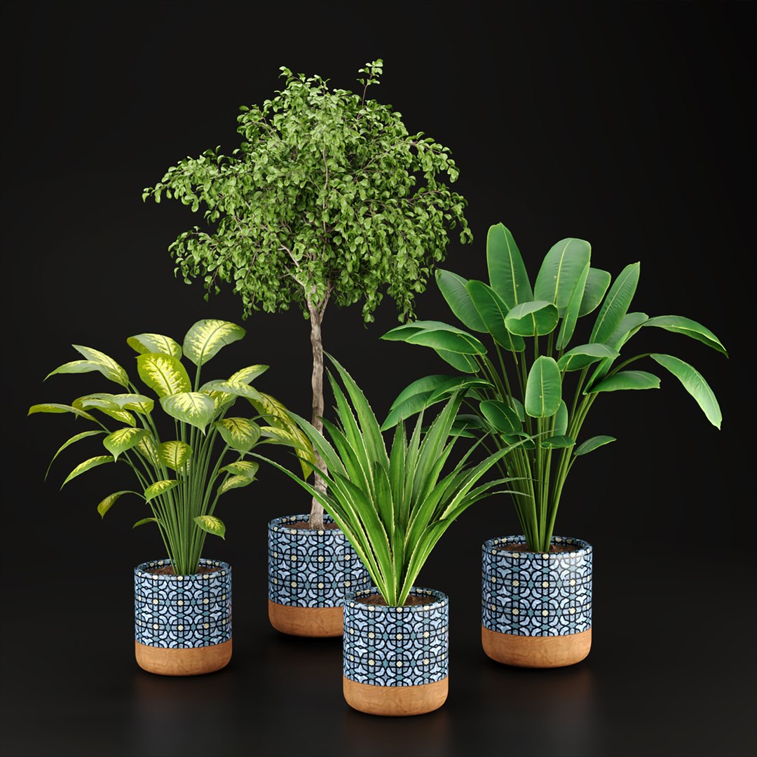 3D plants new collection vol 21 model https://p.turbosquid.com/ts-thumb/L5/OY09hA/Ry/1/jpg/1661328882/1920x1080/fit_q87/b30d6aa4a8eec45a5a535217bd018be7f4770a8f/1.jpg
