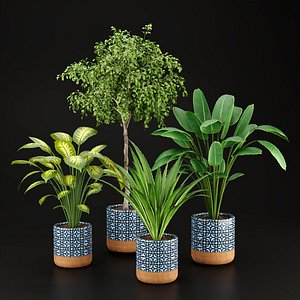 3D plants new collection vol 21 model