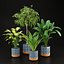 3D plants new collection vol 21 model