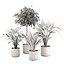 3D plants new collection vol 21 model