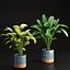 3D plants new collection vol 21 model