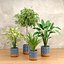 3D plants new collection vol 21 model